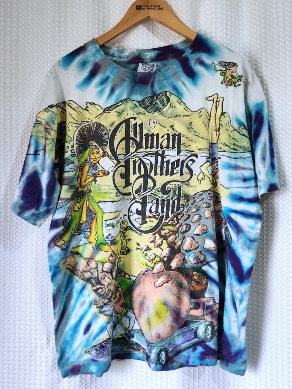 Vintage Allman Brothers Band Shirt 1995 XL Tie Dye Wild Oats Single Stitch Psych